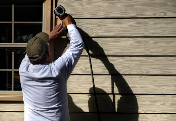 Best Vinyl Siding Installation  in Nettleton, MS