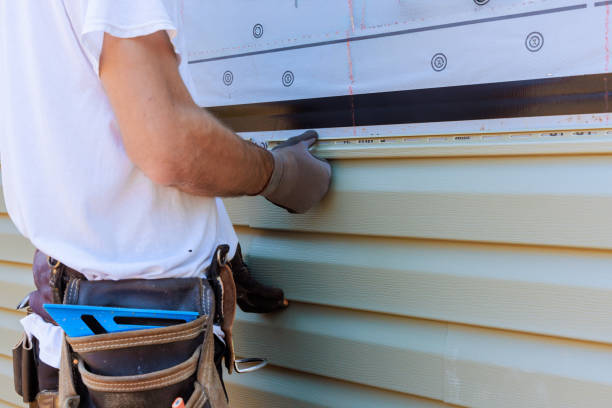 Best Custom Trim and Detailing for Siding  in Nettleton, MS